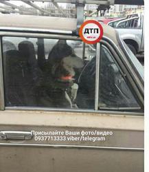 3f985df2d0a5e6e0b2dd15bdf81e1053_l.jpg