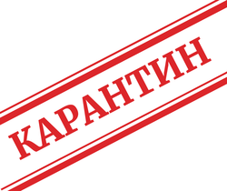 karant.png