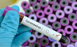 virus3.jpg